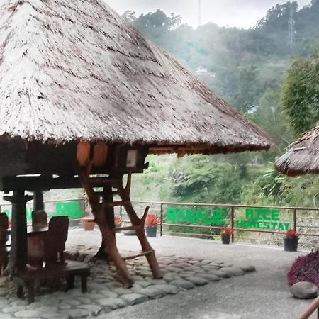 Rice Homestay Банаю Экстерьер фото